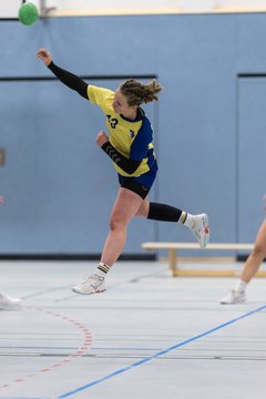 Bild 198 - F HSG Pinnau2 - Rellinger TV2 : Ergebnis: 27:20